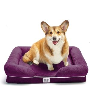 Brand new memory foam dog bed